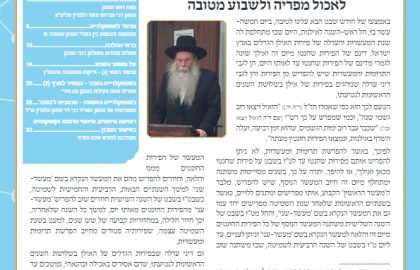בטאון אספקלריה חודש שבט תש"פ