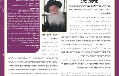 בטאון אספקלריה חודש מנחם-אב תשפ"ד